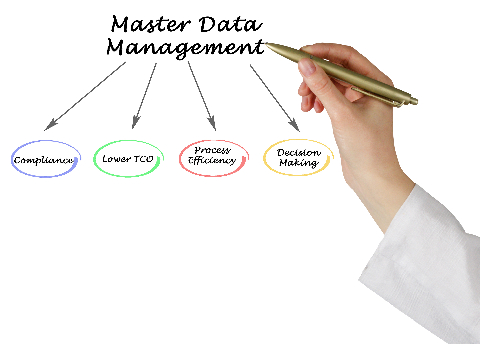 master data management and its aspects